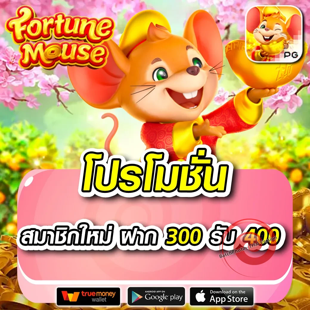 mheepooh168 ทางเข้า